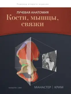 Лучевая анатомия. Кости, мышцы, связки