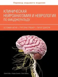 Клиническая нейроанатомия и неврология п