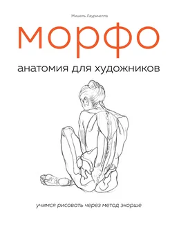 МОРФО. Анатомия для художников