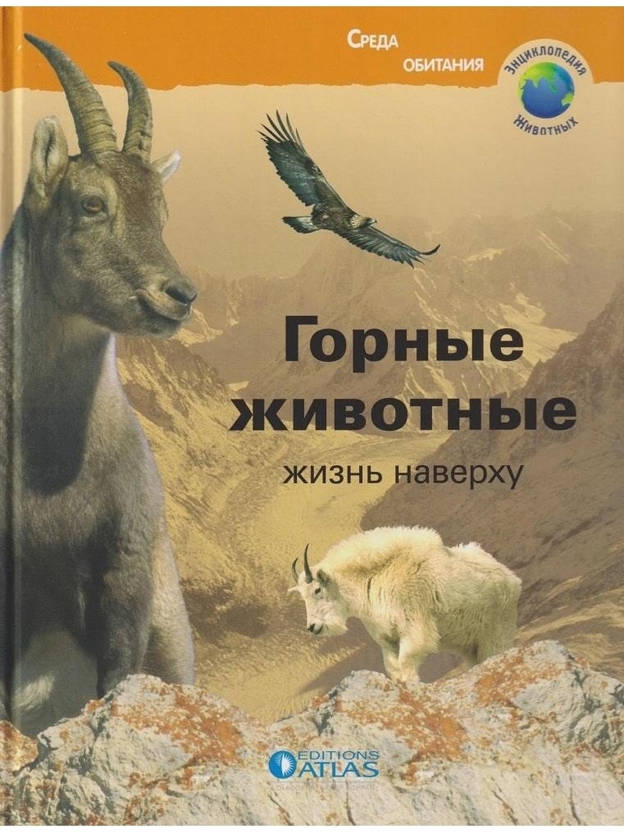 Жизнь на верху. Книга про животных горы. Книжка животные горы. Художественные книги про горных животных. Горы животные энциклопедия.