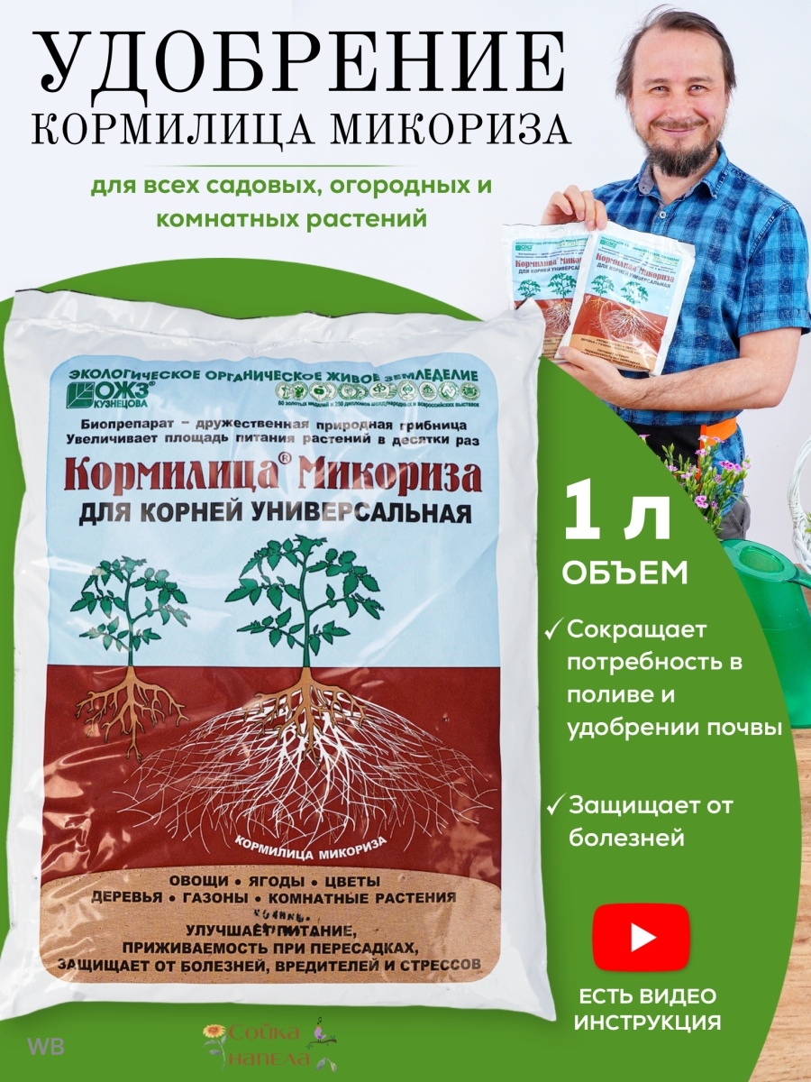 Как правильно развести микоризу. Кормилица микориза БАШИНКОМ. Микориза и корневин.