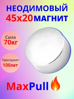 Неодимовый магнит большой мощный великан.45х20мм. 70кг