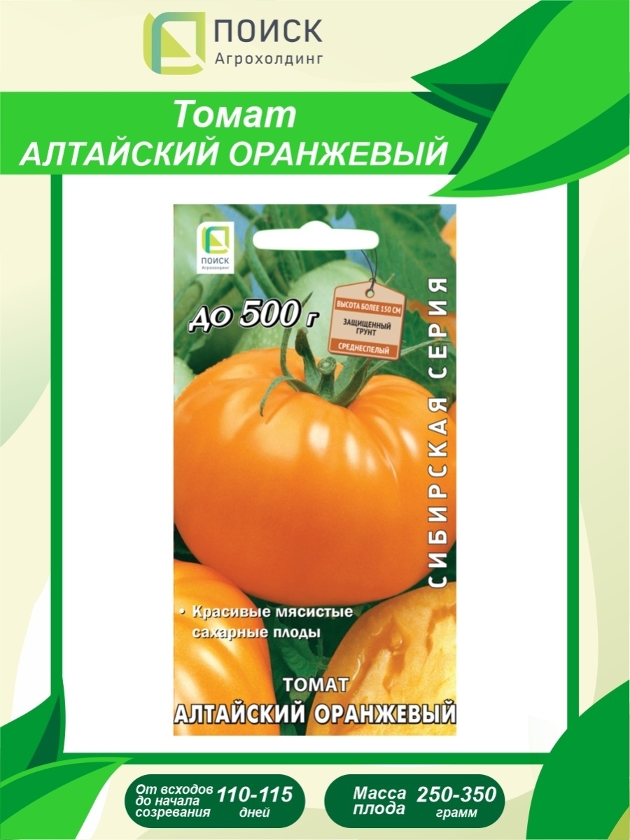 Алтайский оранжевый томат семена Алтая
