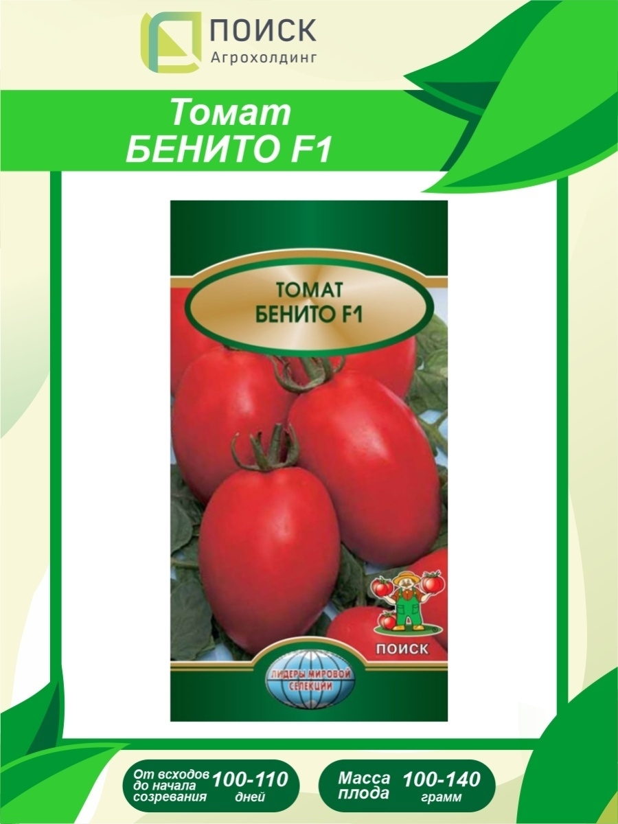 Томаты сорта бенито. Семена томата Бенито. Бенито ф1 томат. Томат Бенито f1. Томат Абрикотин f1.