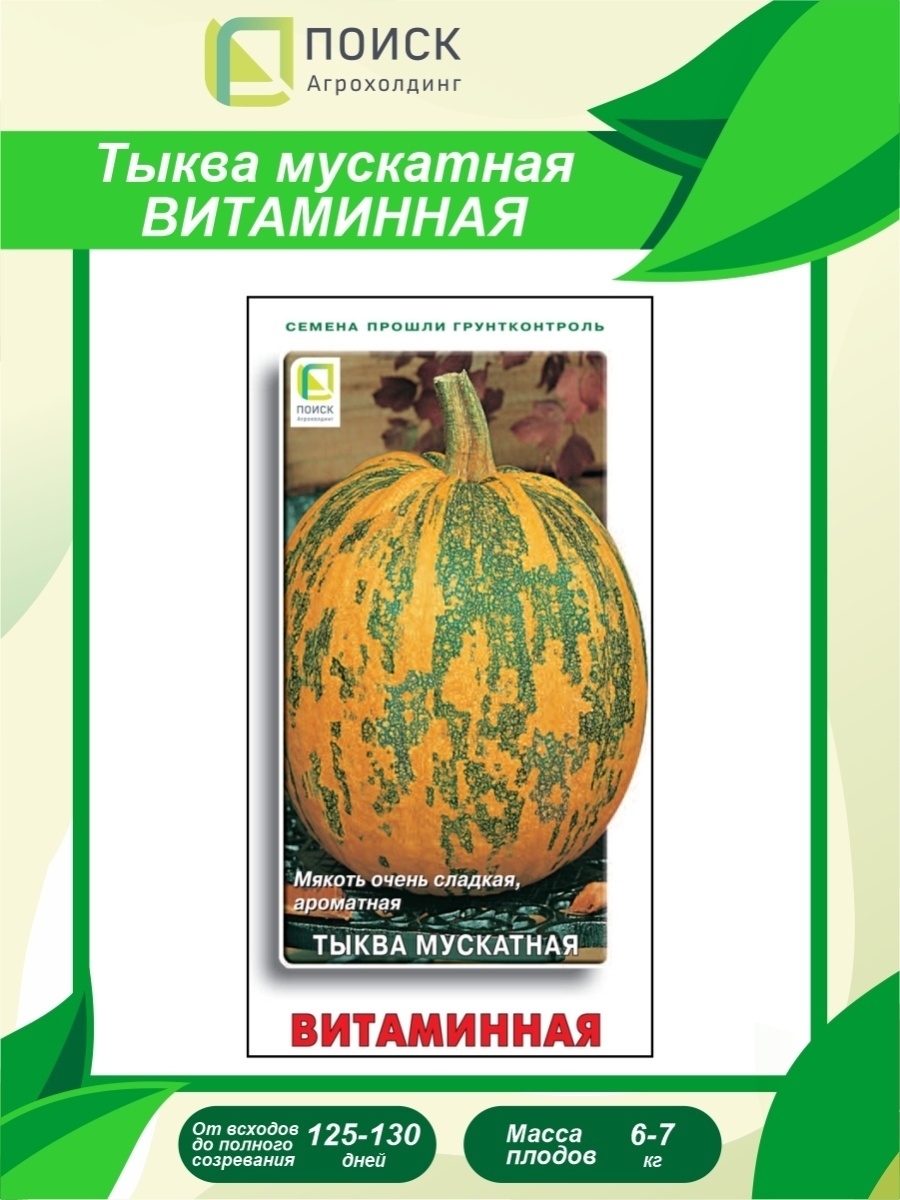 Тыква витаминная описание сорта фото