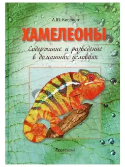 Хамелеоны. Содержание и разведение в домашних условиях