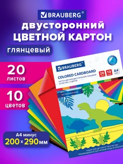 Цветной картон для школы набор А4 двусторонний 20 л 10 цв