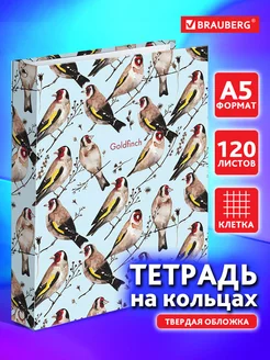 Тетрадь на кольцах А5 120л. клетка, 60г м2, твердый картон