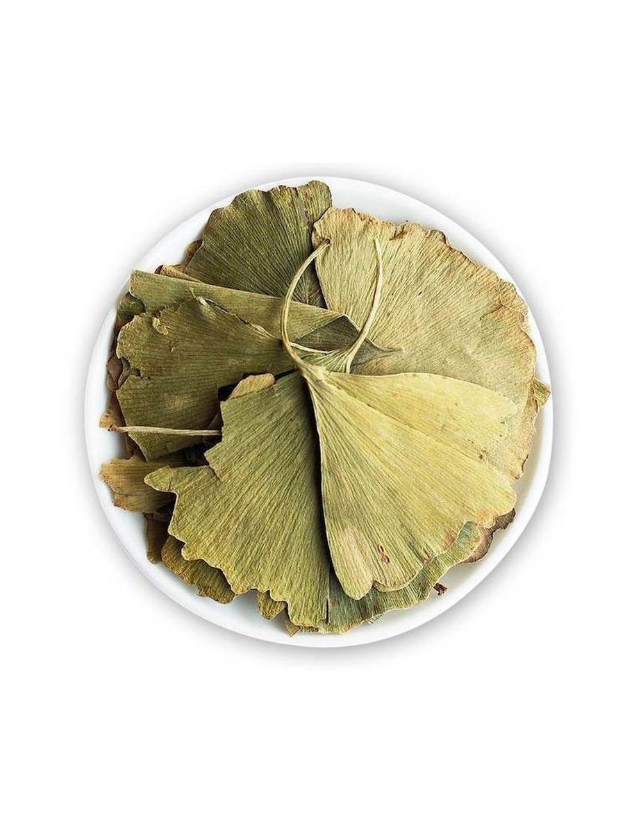 Сушёные листья гинкго билоба