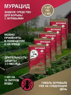 Средство от муравьев на участке мурацид