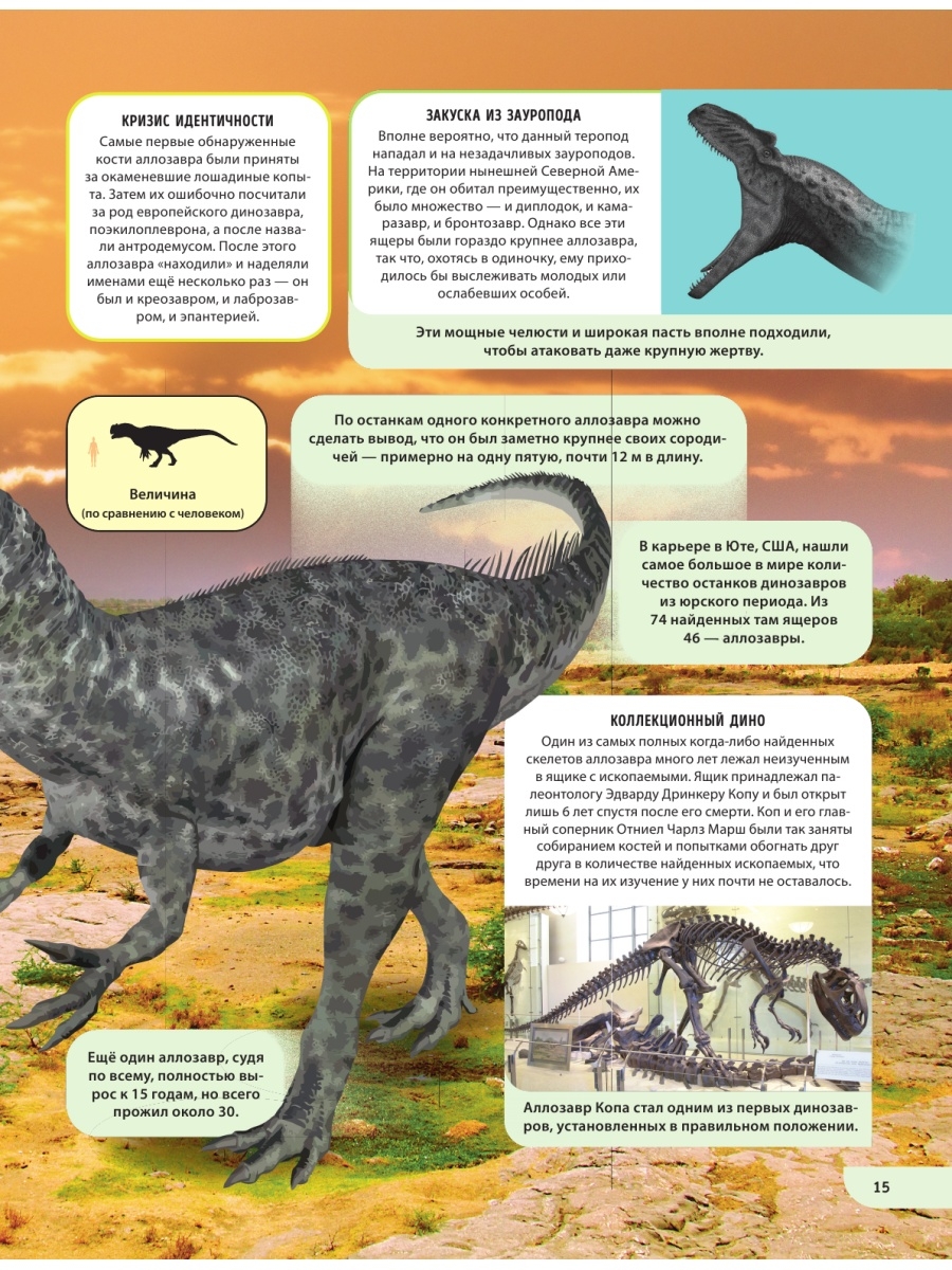 Энциклопедия динозавров с картинками и названиями