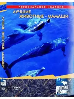 Discovery. Лучшие животные-мамаши. Региональная версия DVD