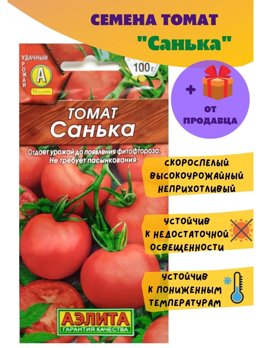 помидоры санька фото