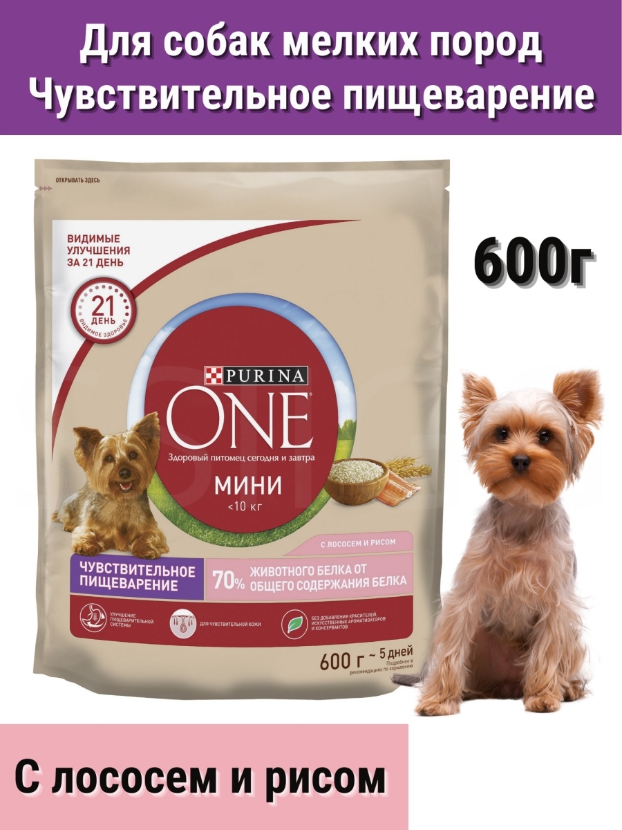 Purina one мини для собак. Сухой корм для собак Пурина оне для мелких собак. Корм Пурина Ван для щенков. Корм для собак Пурина Ван для маленьких собак. Сухой корм для собак Purina one мини.