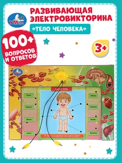 Настольная игра электровикторина Тело человека