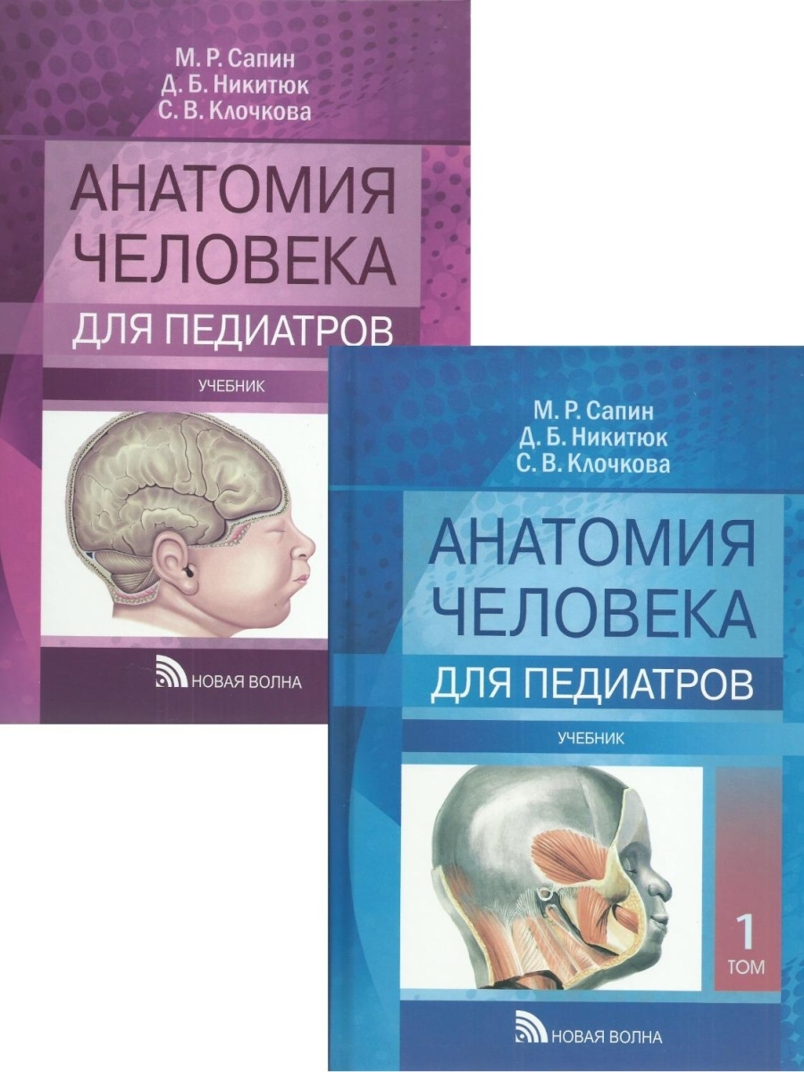 Сапин анатомия 2 том читать. Анатомия человека Сапин 1,2 том. Сапин Никитюк анатомия человека. Сапин анатомия 1996.