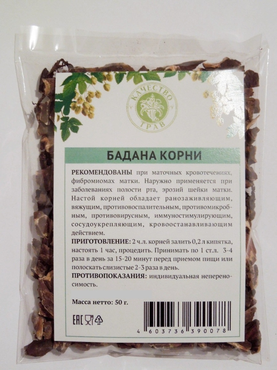 Бадан толстолистный лекарственные препараты. Корневище бадана толстолистного препараты. Бадан корень.